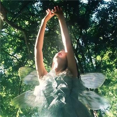 数码宝贝:最后的进化